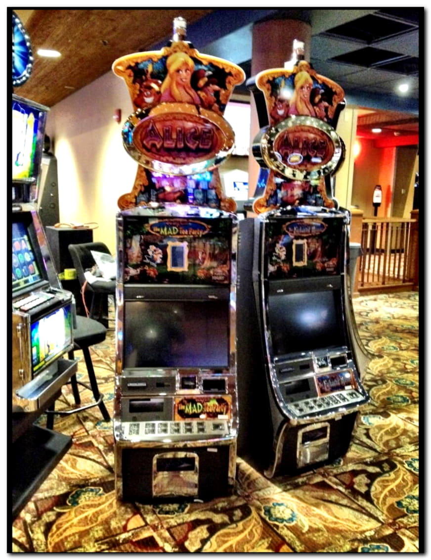 205 Loyalty Free Spins! at Dream Dubai Casino