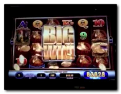 590% Best Signup Bonus Casino at Rizk Casino