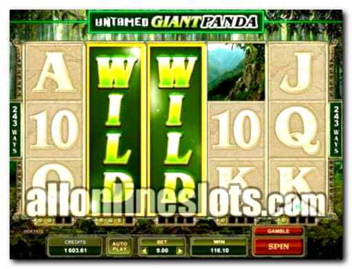 315% Signup casino bonus at Jackpot City Casino