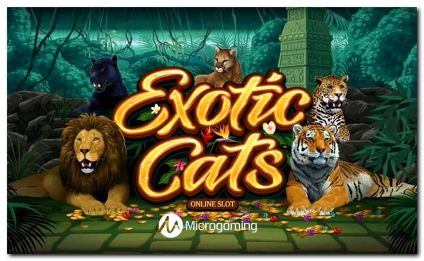 435% Deposit match bonus at Winorama Casino