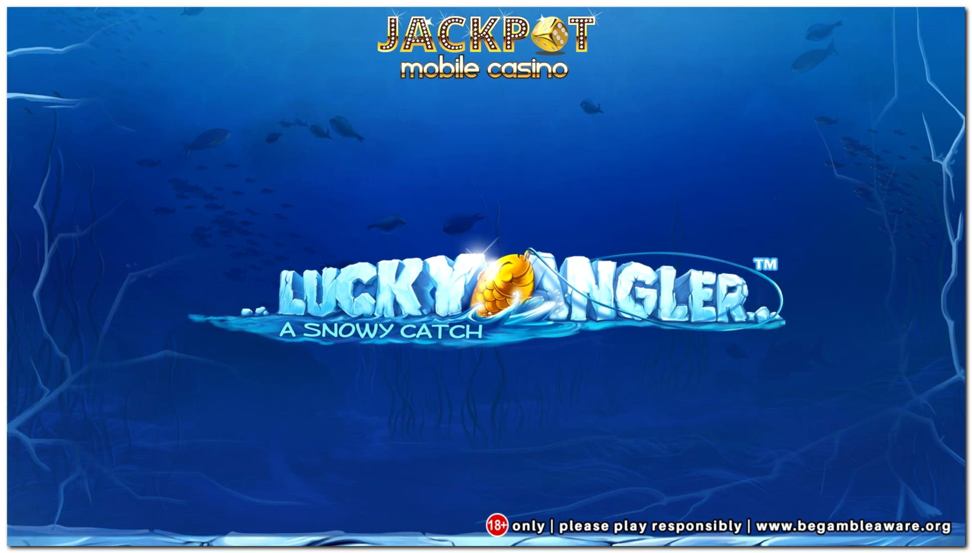 ﻿$565 Free Money at Mrgreen Casino