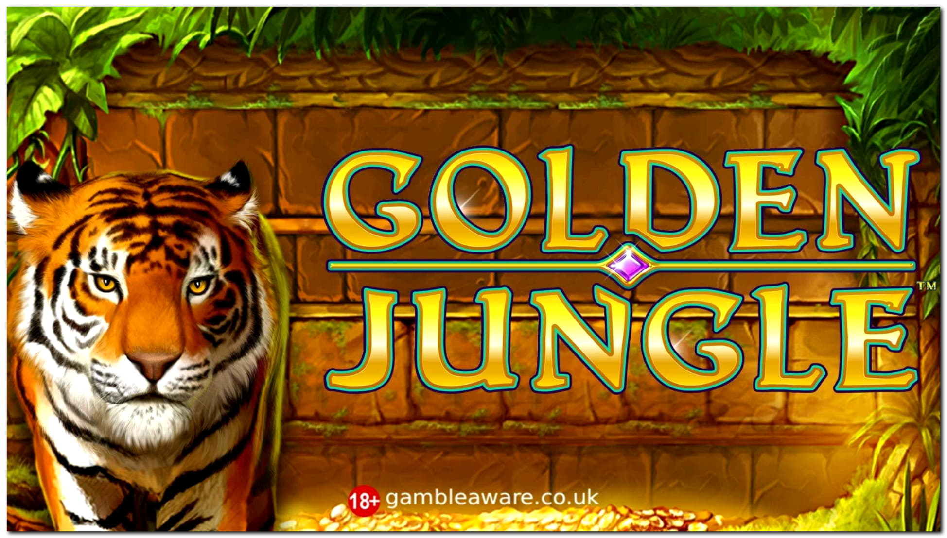 €155 Daily freeroll slot tournament at CasiPlay Casino