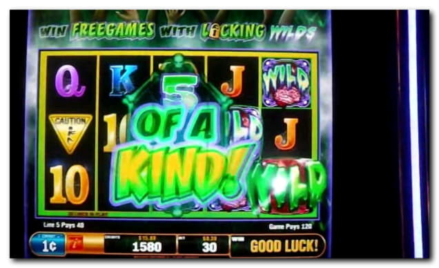 33 free spins no deposit casino at Wunderino Casino