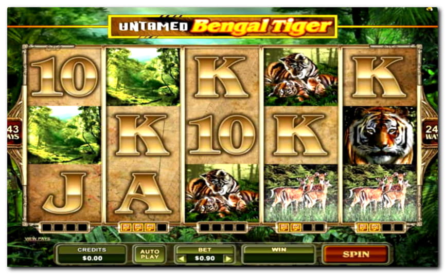 EUR 80 Online Casino Tournament at Dream Vegas Casino