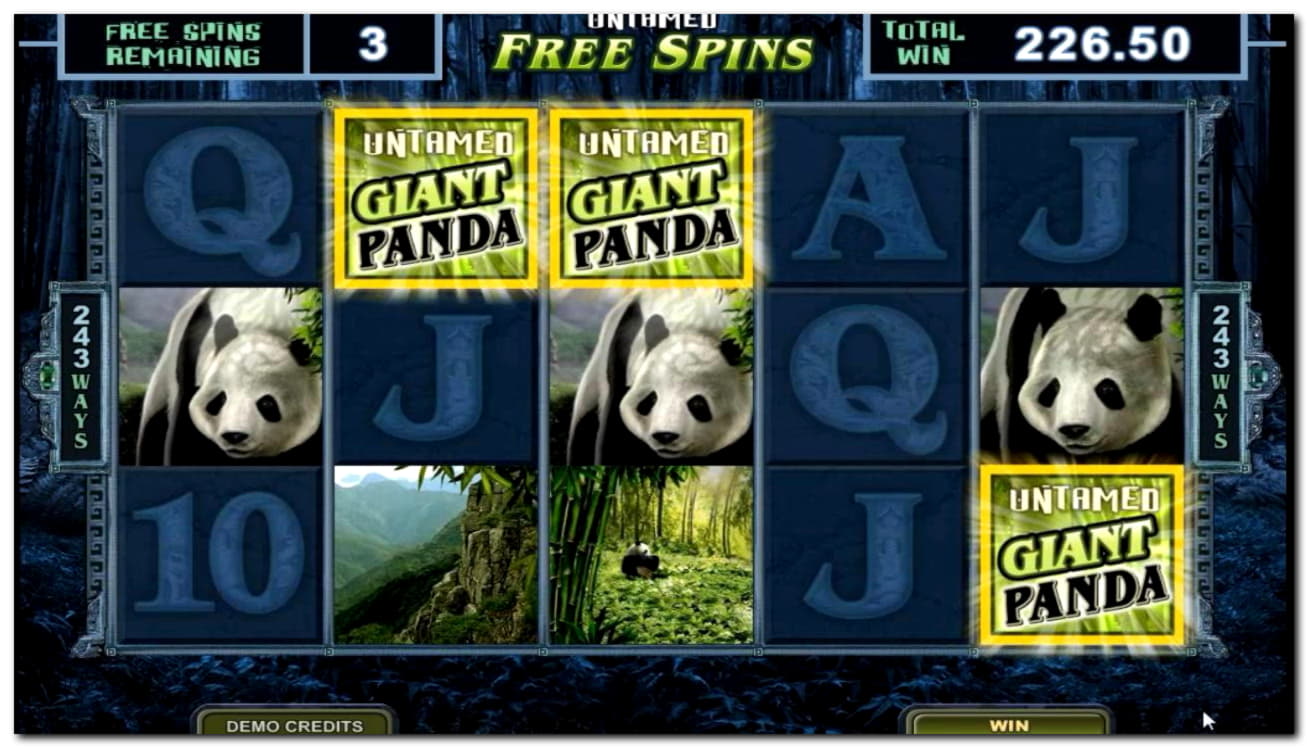 $333 Casino tournaments freeroll at Omni Casino