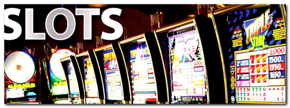 €170 Daily freeroll slot tournament at Reeltastic Casino