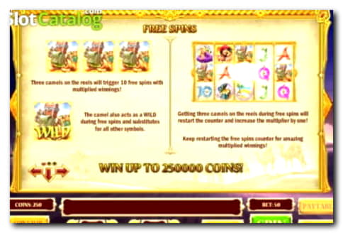 60 Free spins casino at CasiPlay Casino