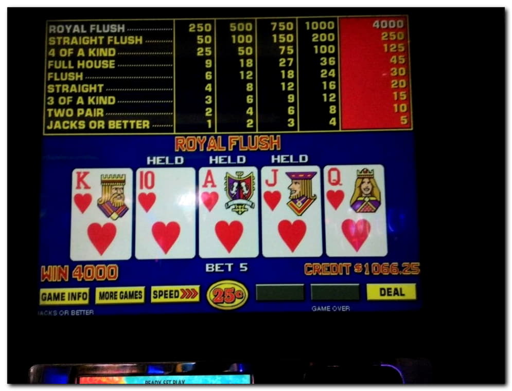﻿$2665 No Deposit at Casimba Casino