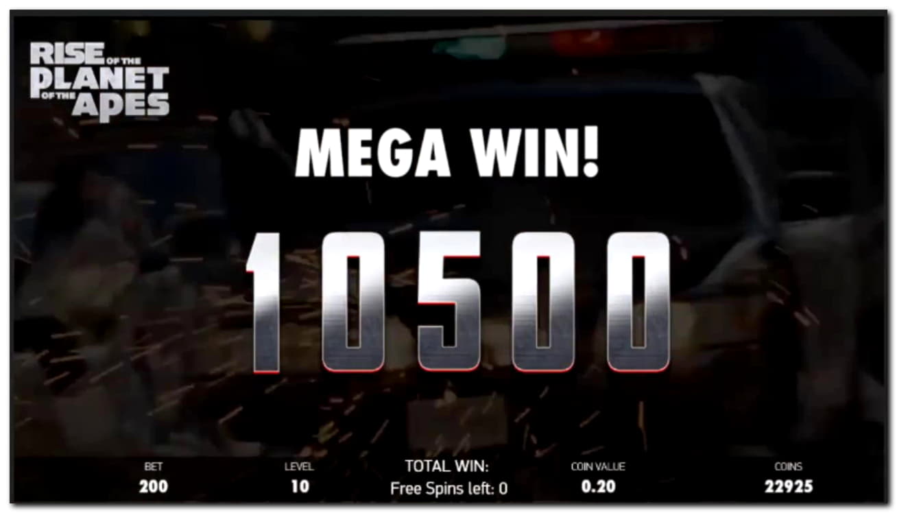 50 FREE Spins at Malina Casino