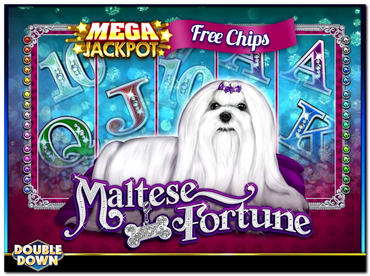 625% Match bonus at Cashmio Casino