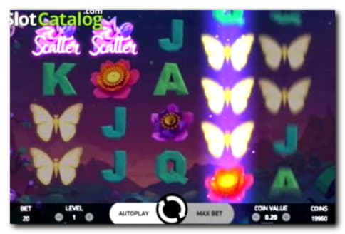 810% Casino match bonus at Wunderino Casino