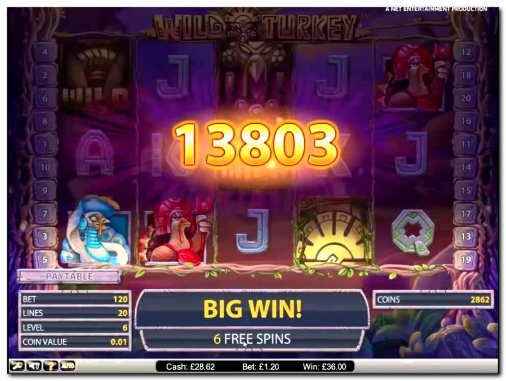 €295 Free chip casino at Reeltastic Casino