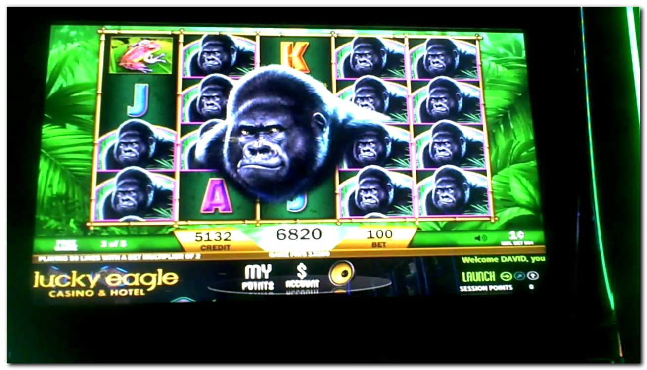 €777 NO DEPOSIT BONUS at Dunder Casino