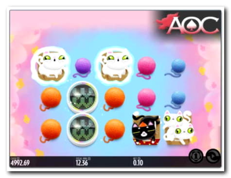 135 free spins at Cashmio Casino