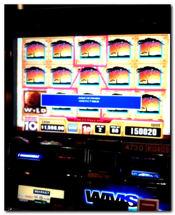 $1100 No deposit at Casimba Casino