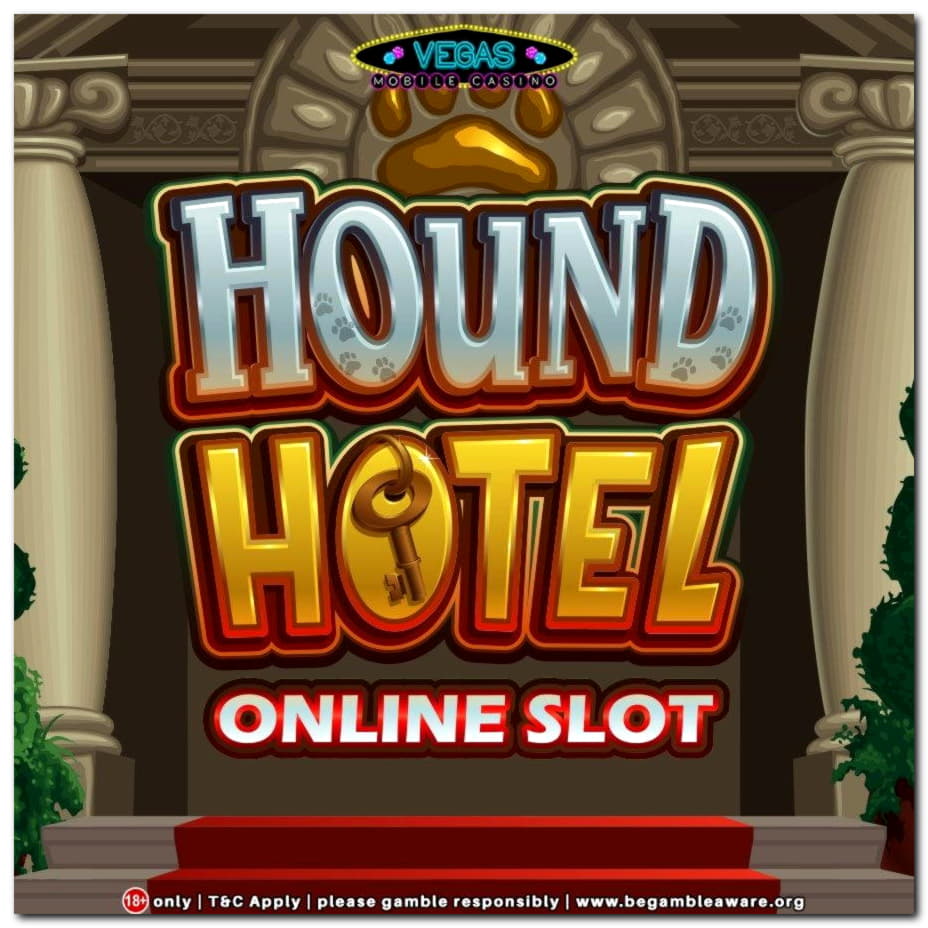 260% Match bonus casino at YoYo Casino