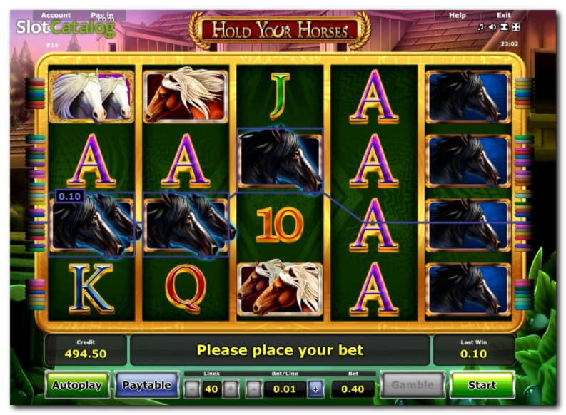 820% Signup casino bonus at Malina Casino