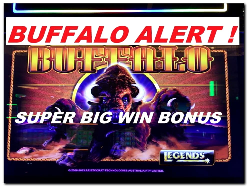€4260 No deposit bonus casino at Jelly Bean Casino
