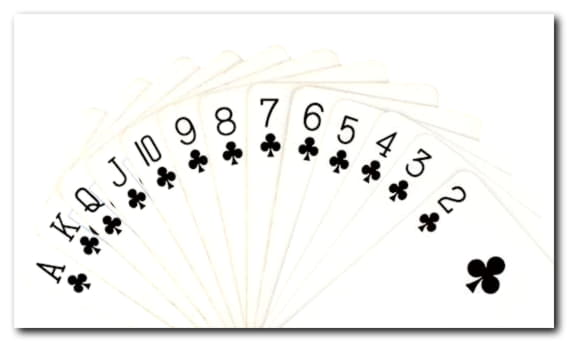 520% No Rules Bonus! at Rizk Casino