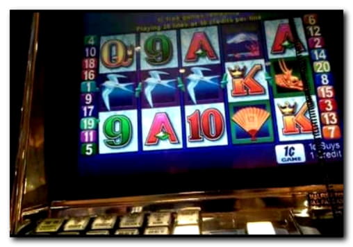 800% Match at a casino at Dunder Casino