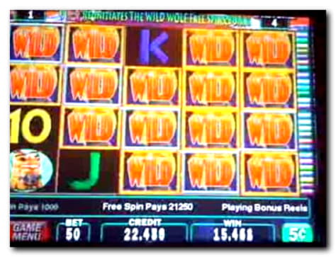 $110 Casino Chip at Wunderino Casino