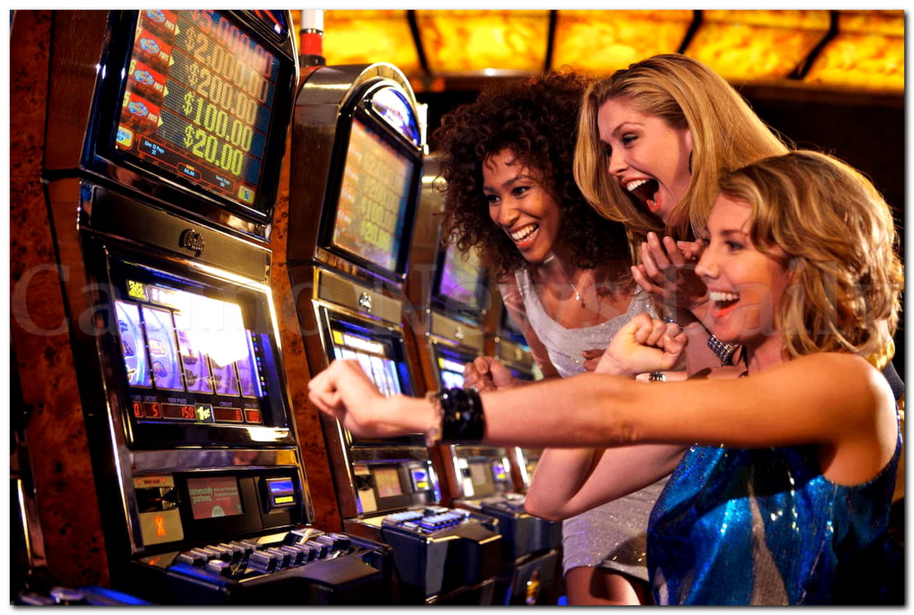 €960 Casino tournaments freeroll at Rizk Casino