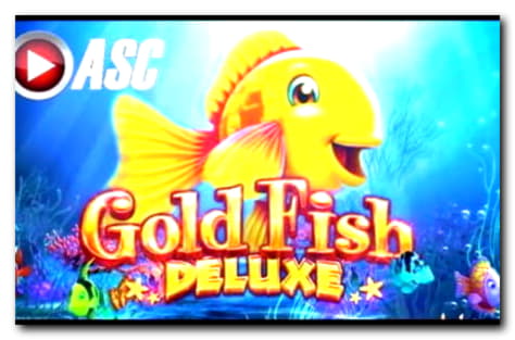 ﻿$3330 No Deposit Bonus at Rizk Casino