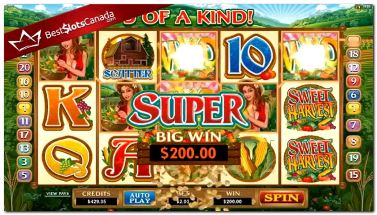 €395 Online Casino Tournament at Cashmio Casino