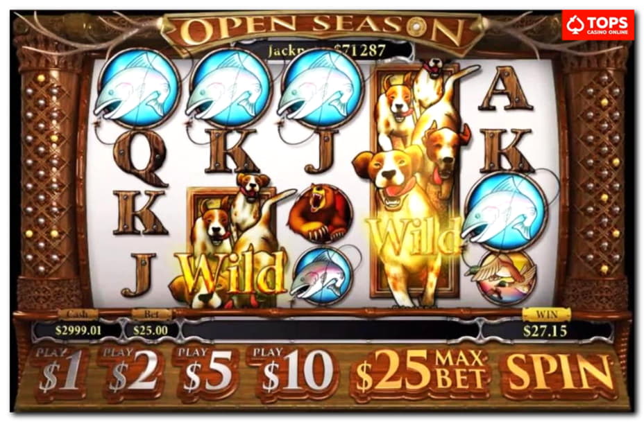 EURO 666 Casino chip at Casino com