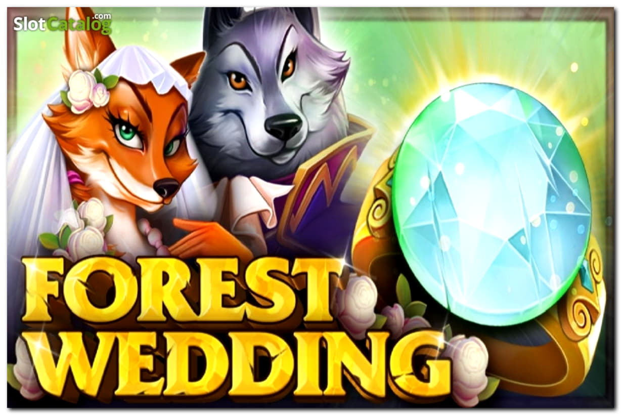 ﻿$235 Free Money at Malina Casino
