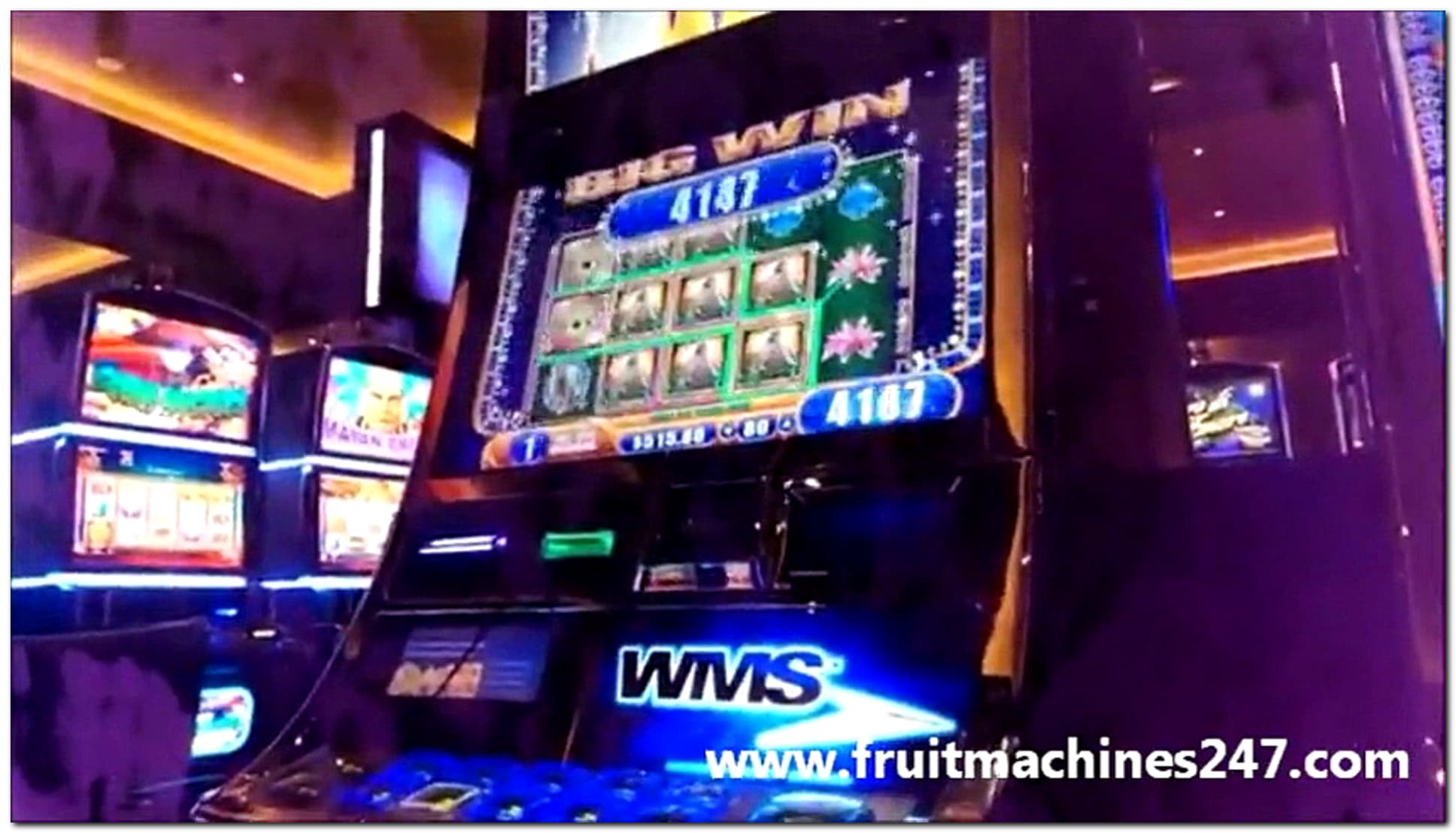 205 Free spins at bWin Casino
