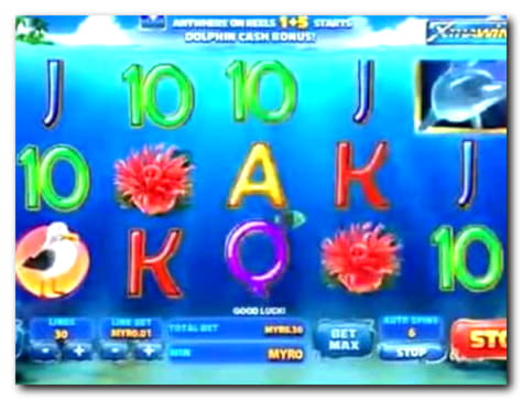 $3390 No deposit bonus at Cashmio Casino