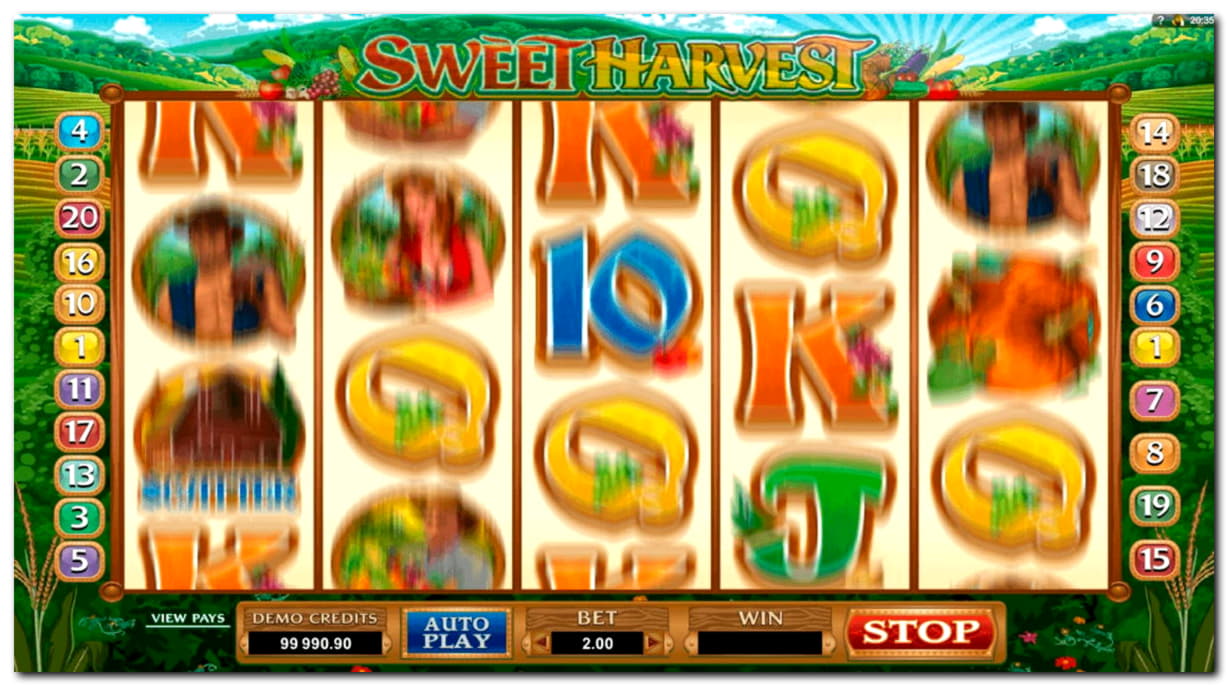 220% Best Signup Bonus Casino at Cashmio Casino