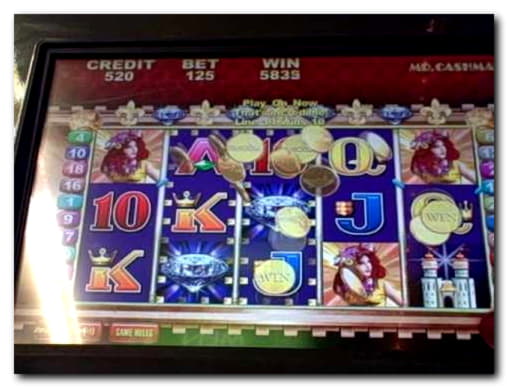 765% Signup Casino Bonus at Wunderino Casino