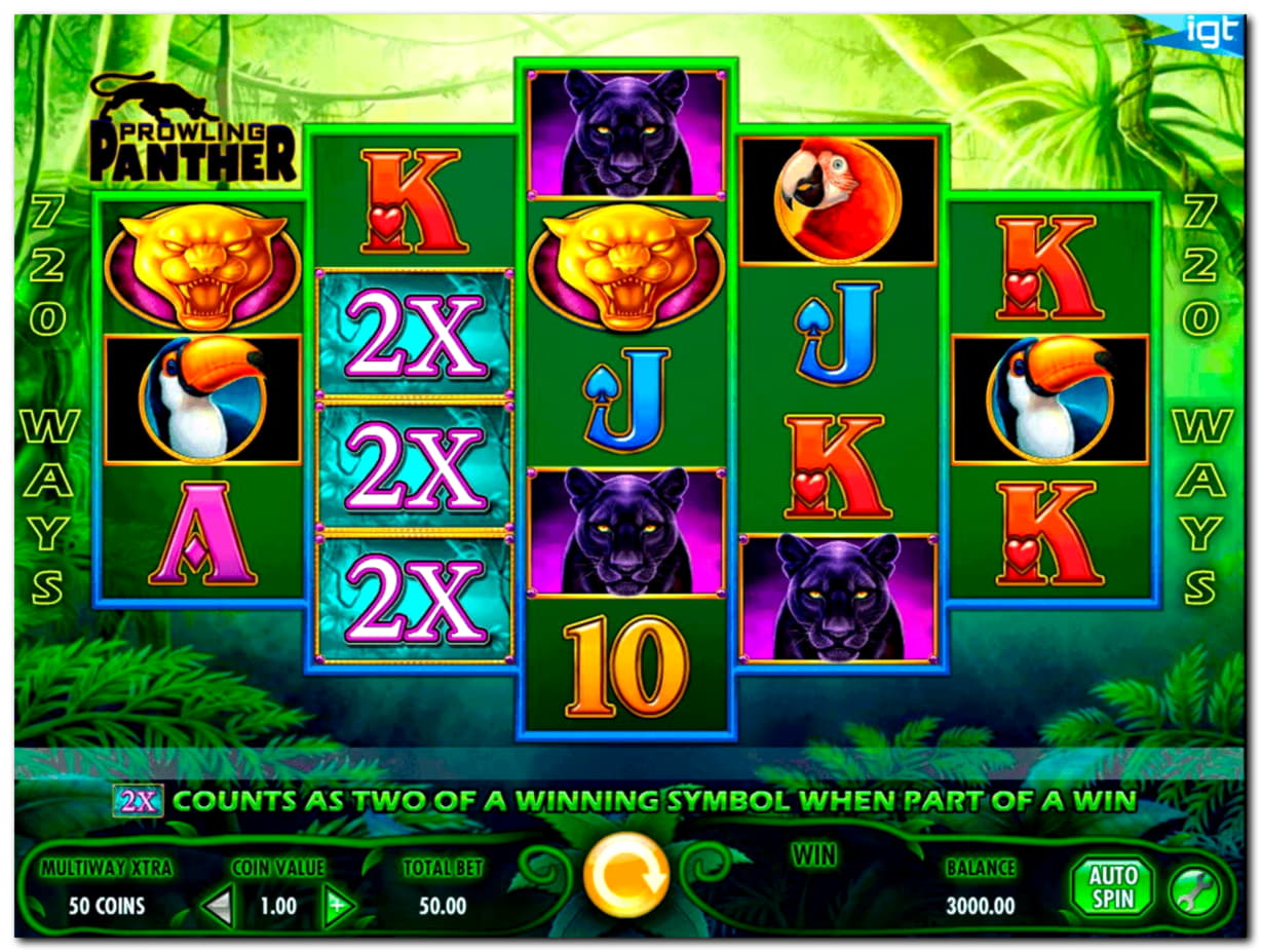 555% No Rules Bonus! at Winorama Casino