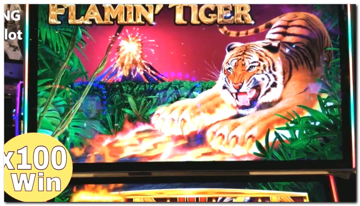 $800 Daily freeroll slot tournament at Dunder Casino