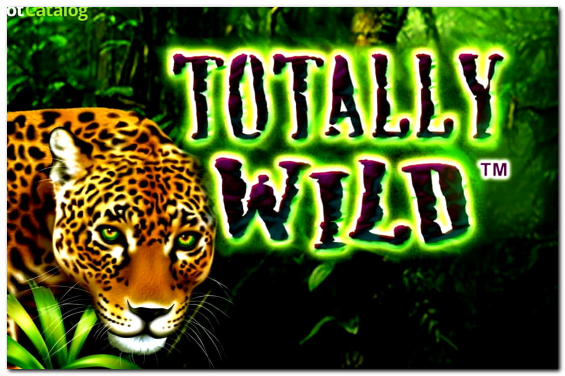 EURO 575 Free Casino Chip at Malina Casino