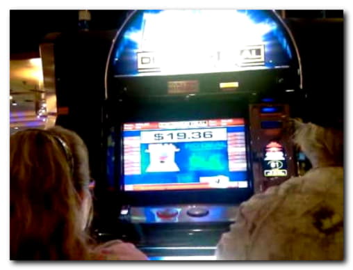 195 free spins no deposit at Yako Casino