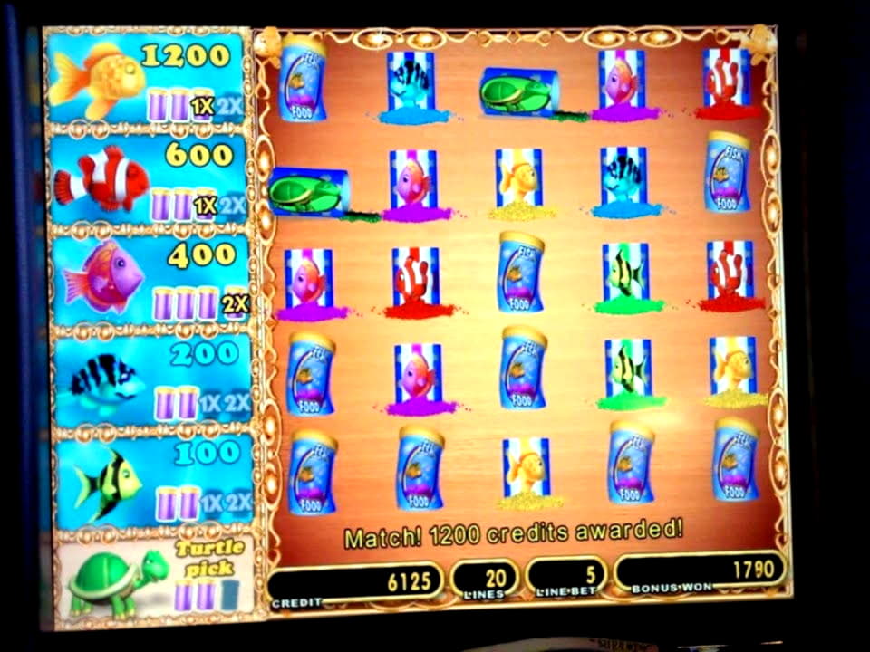?$505 FREE Chip Casino at CasiPlay Casino