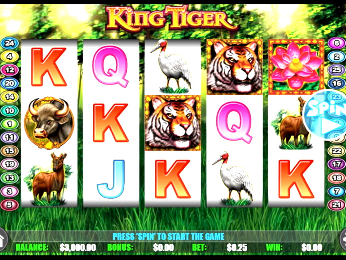 ?$1025 No Deposit Casino Bonus at Mrgreen Casino