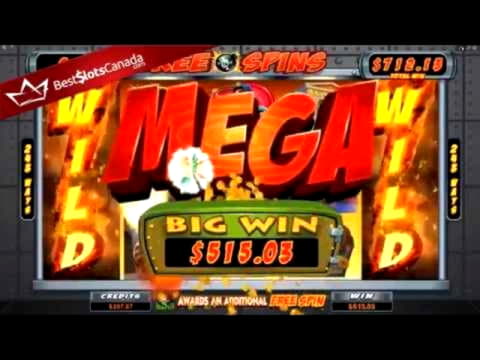 120% Match bonus casino at Malina Casino