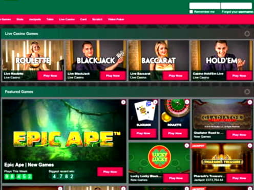 EURO 315 Daily freeroll slot tournament at Cashmio Casino