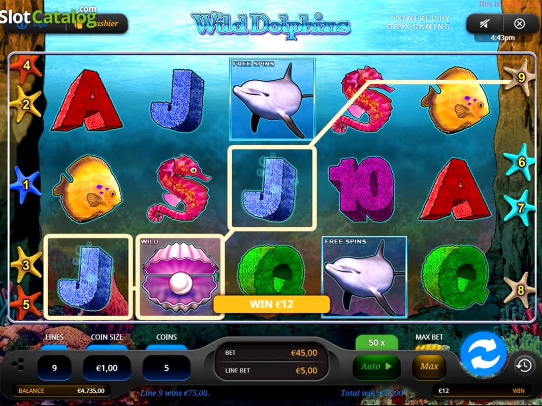 222 Free spins no deposit casino at YoYo Casino