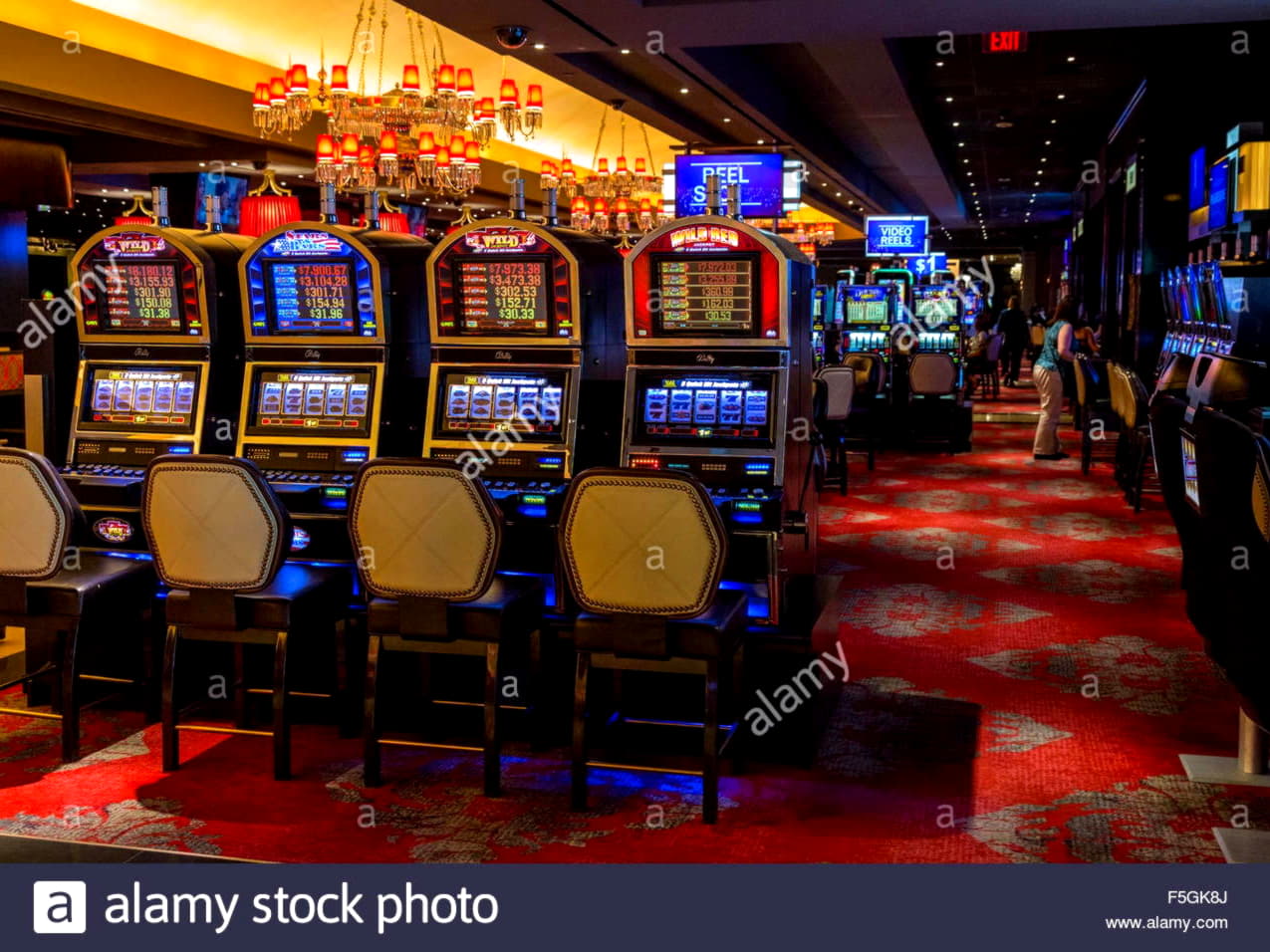 60 Free spins no deposit casino at Dunder Casino