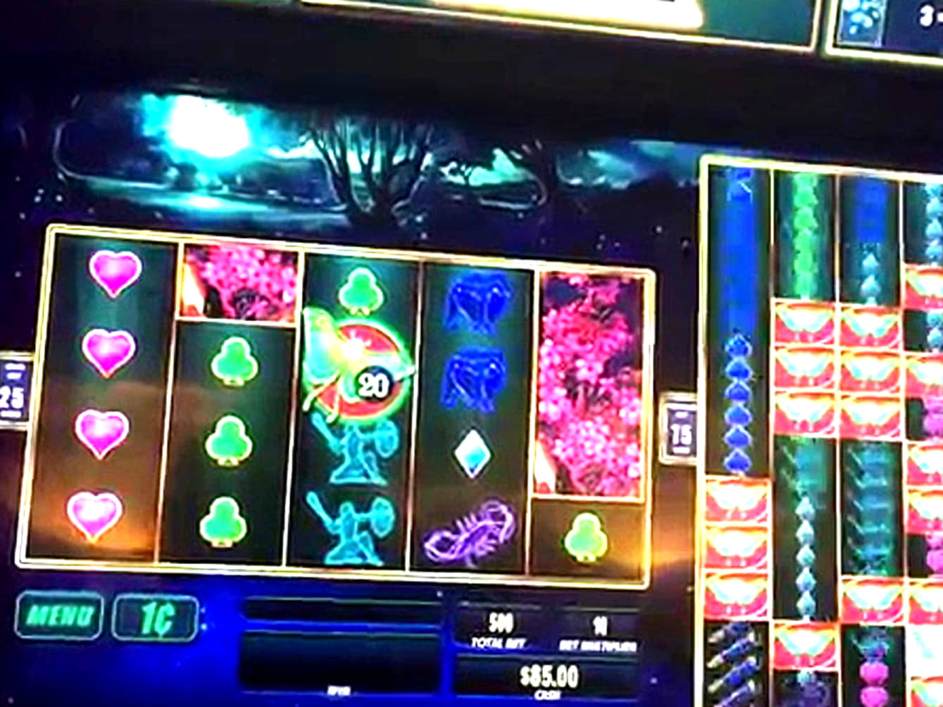 EURO 225 No deposit bonus casino at Reeltastic Casino