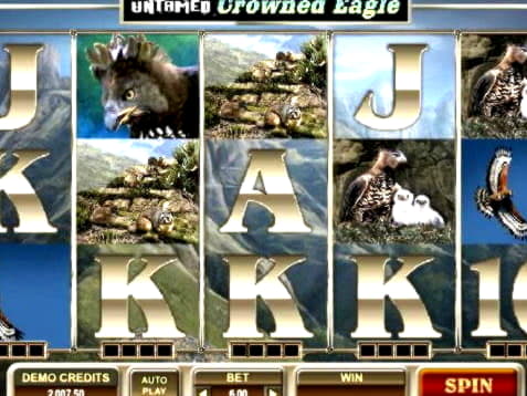 Eur 650 Online Casino Tournament at Dunder Casino