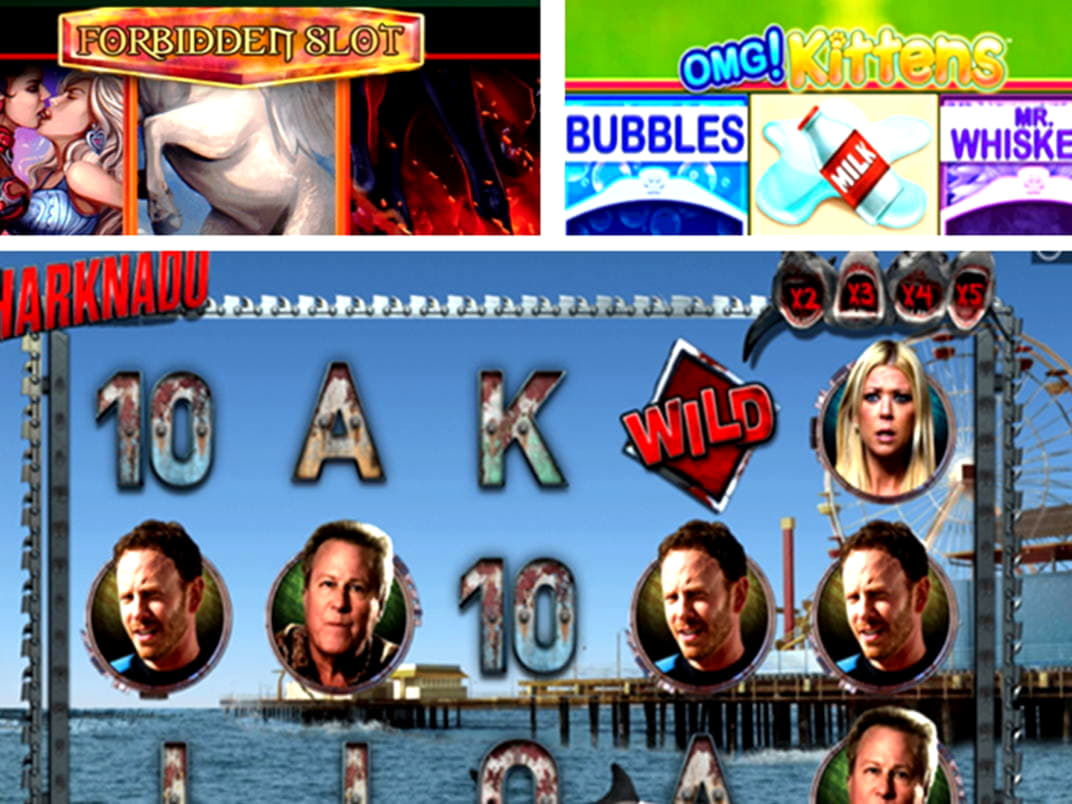$265 No deposit casino bonus at Dunder Casino