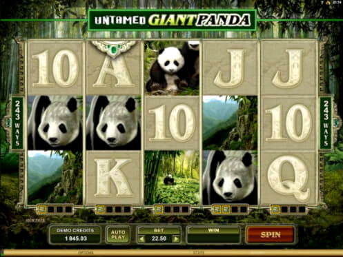 ?$275 Tournament at CasiPlay Casino