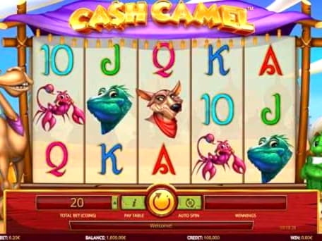60 free casino spins at Mrgreen Casino