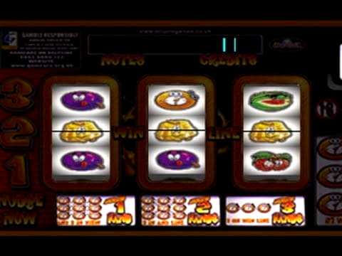 EUR 515 NO DEPOSIT CASINO BONUS at Cashmio Casino